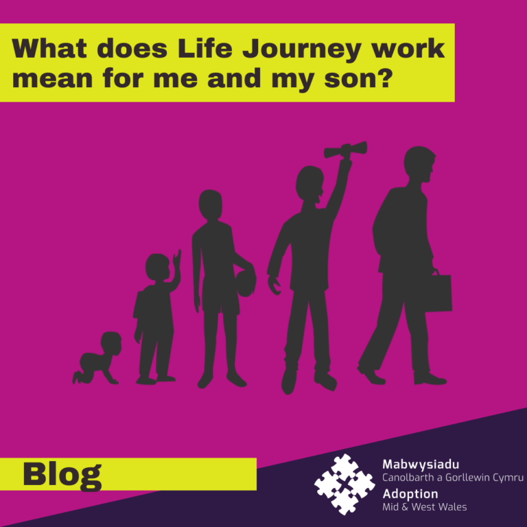 what-does-life-journey-work-mean-for-me-and-my-son-adoption-mid-and